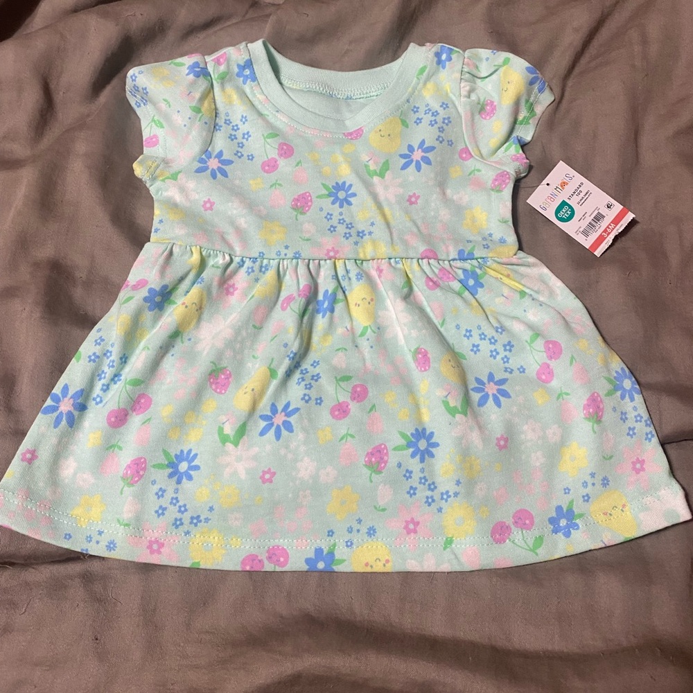 Garanimals Light Green Dress‎ with Floral Print